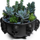Halloween MultiSkull Candy Dish Trick or Treat Bowl & Plant Planter Pot 6"