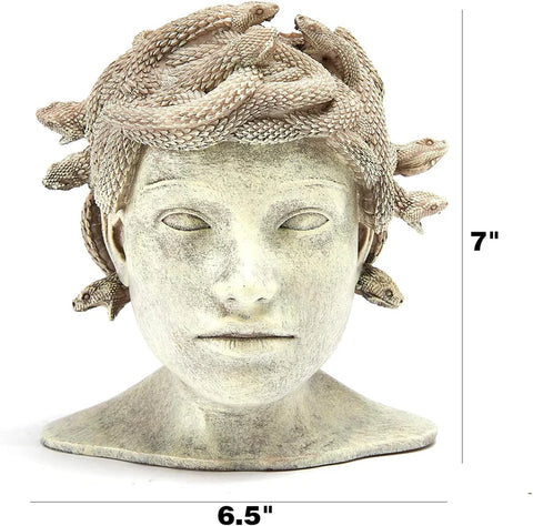 Medusa Head Planter, Large Solid Stone Face Planter