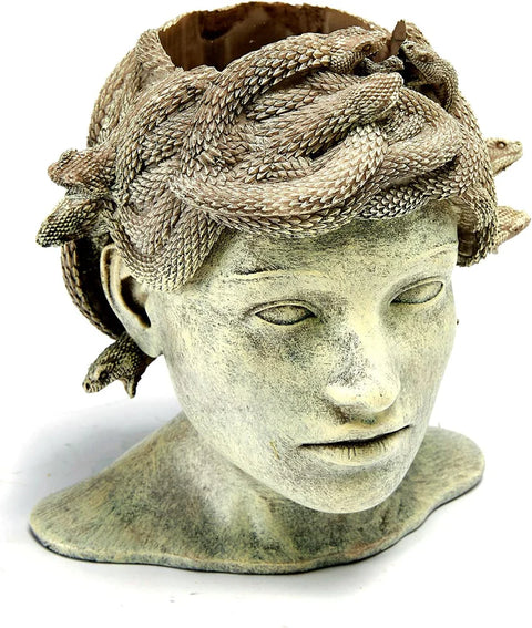 Medusa Head Planter, Large Solid Stone Face Planter