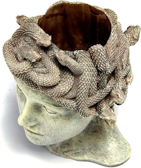 Medusa Head Planter, Large Solid Stone Face Planter