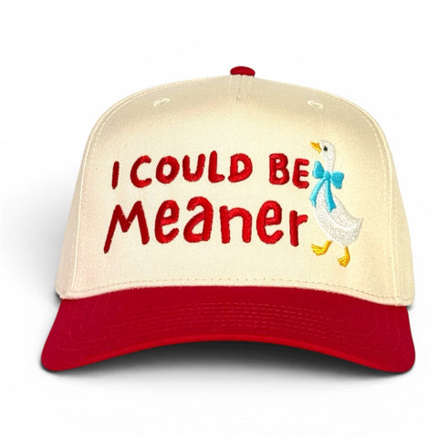 I Could Be Meaner Goose Hat