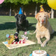 Birthday Barkers 3D Pop Up Card