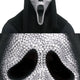 Fun World Scream Ghost Face Bling Character Costume Mask