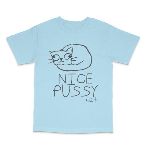 Nice Pussy Cat Funny Meme T-Shirt Viral Cat Joke Shirt, Adult Humor Novelty Tee
