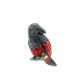 Dracula Parrot