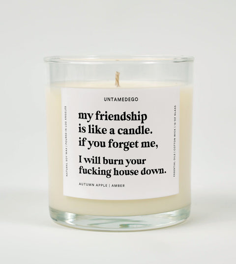 My Friendship Is Like A Candle Glass Candle