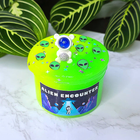 Alien Encounter