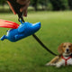 Mighty dog