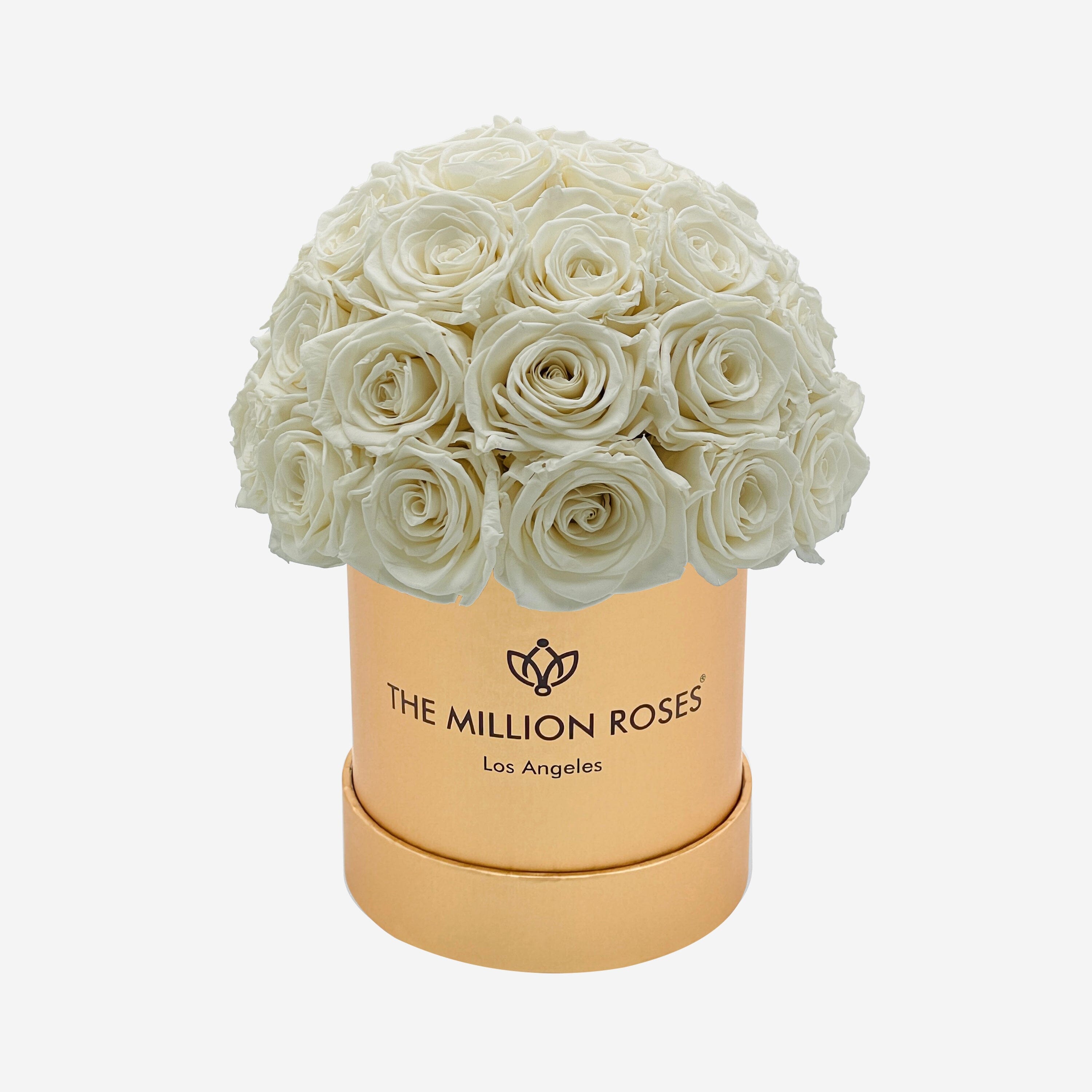 Basic Gold Superdome Box | White Roses – Shut Up and Take my MONEY