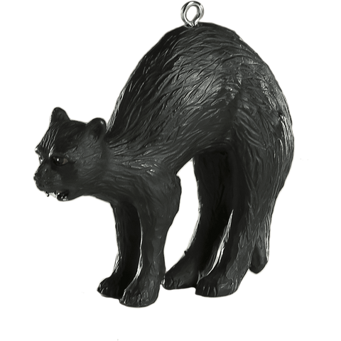 Black Cat