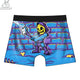 Bone Zone Boxer Briefs