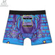 Bone Zone Boxer Briefs