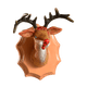 Braindeer