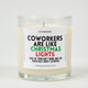 Coworkers Are Like Christmas Lights | Funny Candle