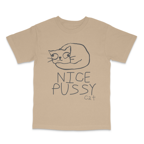 Nice Pussy Cat Funny Meme T-Shirt Viral Cat Joke Shirt, Adult Humor Novelty Tee