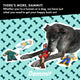 Cookie Scout Squeaky Chew Toy