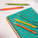 Dog People Pens