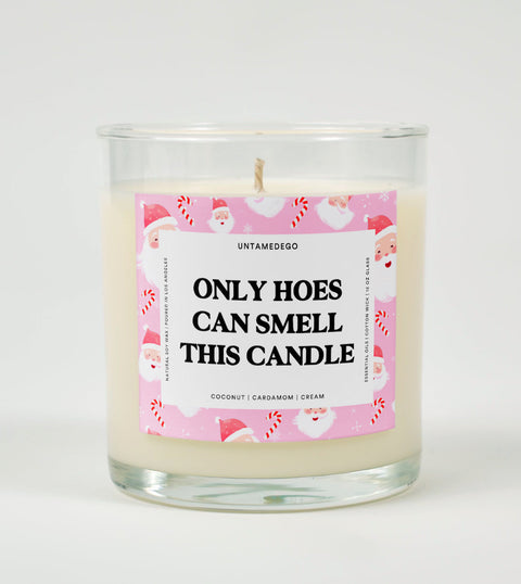 Only Hoes Can Smell This Candle | Funny Candle