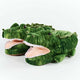 Swampy the Alligator Kids Slippers