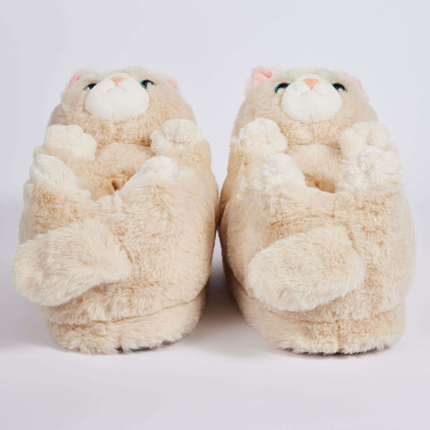 Molly the Kitty Slippers