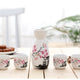 Ceramic Sake Set