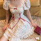 Rose Print Lace Dress