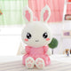 Miss Bunny Plushies