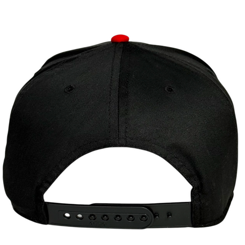 A lion Wouldn’t Drink and Drive But a Tiger Wood Custom Embroidered Hat ￼o
