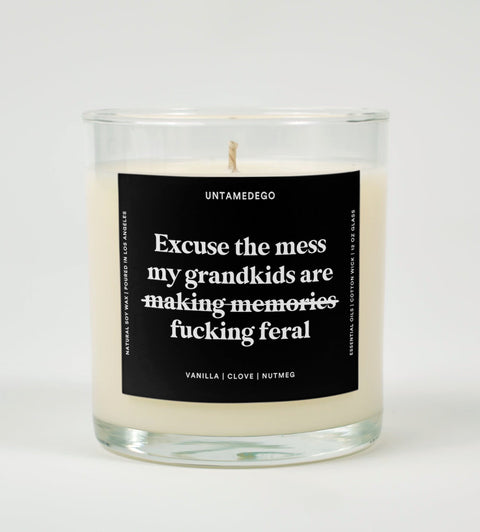 Excuse The Mess My Grandkids Are Fucking Feral Glass Candle
