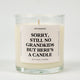 Sorry Still No Grandkids But Here's A Candle Glass Candle