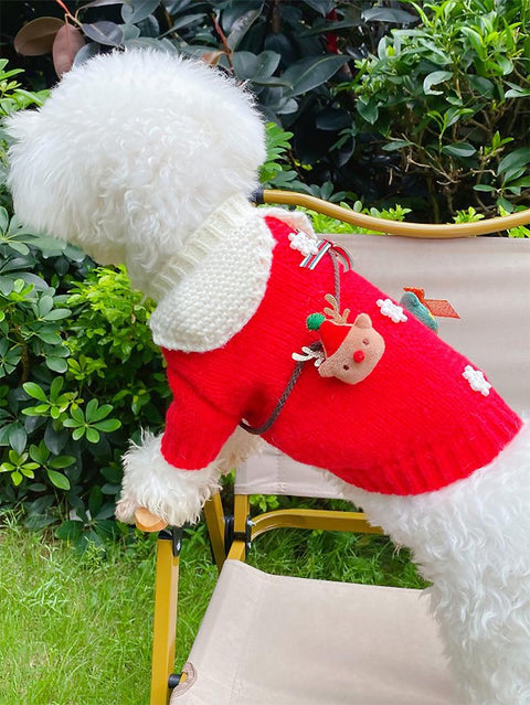 Pet Collared Christmas Sweater | NCS