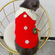 Pet Collared Christmas Sweater | NCS