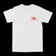 Pretty Girls Love Jesus Graphic Tee