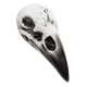 Raven Skull