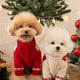 Red Pet Christmas Sweater | NCS