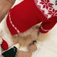 Red Pet Christmas Sweater | NCS