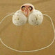Rubber White Cat Nose on Elastic Band Funny Animal Pet