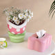 Venus Fly Trap Storage Box