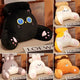 Kawaii Reading Pillows