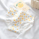 Kawaii Shiba Inu Panties Set