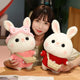 Town Bunny Plushies