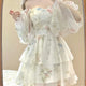 Cute Floral Chiffon Mini Dress