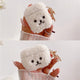 Plush Teddy Airpods Case