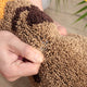 Absorbent Bathroom Doormat