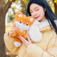 Big Tailed Fox Plushie