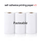 Portable Cat Thermal Printer