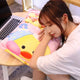 Ducky Plushies in a Pillow