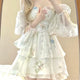 Cute Floral Chiffon Mini Dress