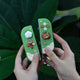 Kawaii Red Panda Picnic Switch Case OLED/NS2