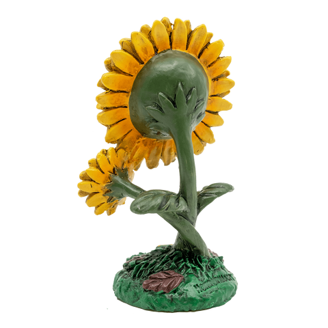 Skullflower